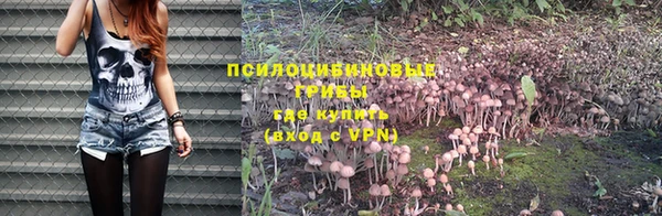 не бодяженный Баксан