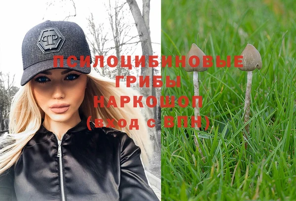 скорость Балахна