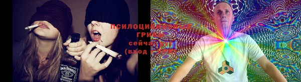 скорость Балахна
